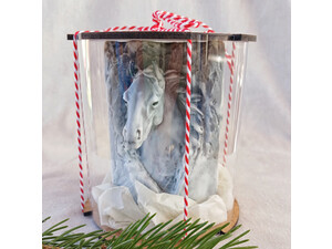 Кликните для увеличения изображения